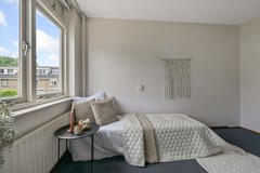 Tormentil 5 Castricum De Groot 34.JPG